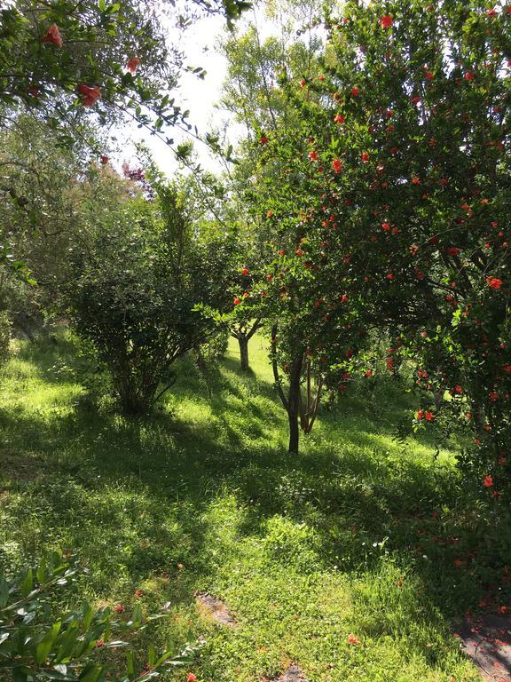 Casale Le Querce Castelnuovo Berardenga Exterior foto